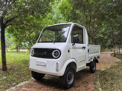 Elektrotransporter Pick Up ECO Rider